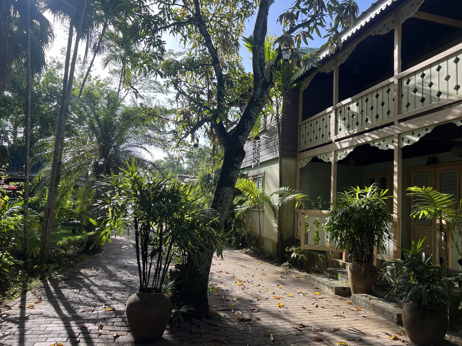 shaded verandahs with cutwork balusters overlooking a brick path and potted palms in a lush courtyard.
