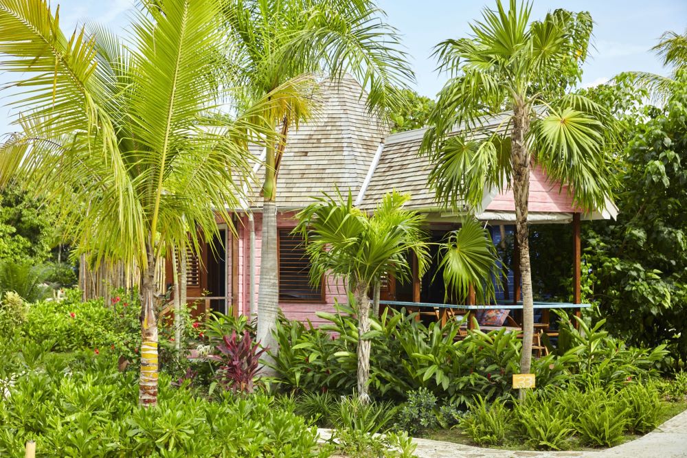 A charming pink wooden beach hut with a shingled roof is partially hidden by tall, vibrant green palm trees and other tropical foliage in the foreground. A small, winding path is visible near the bottom right.