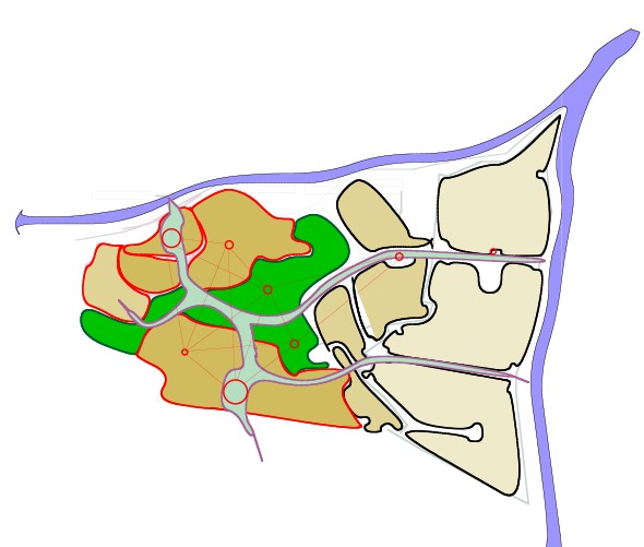 Conceptual land use diagram outlining a development site. Tan shapes represent built areas, green shapes represent open space, and a blue boundary may indicate a river or water body. Red lines and circles illustrate key organizing points and circulation paths.