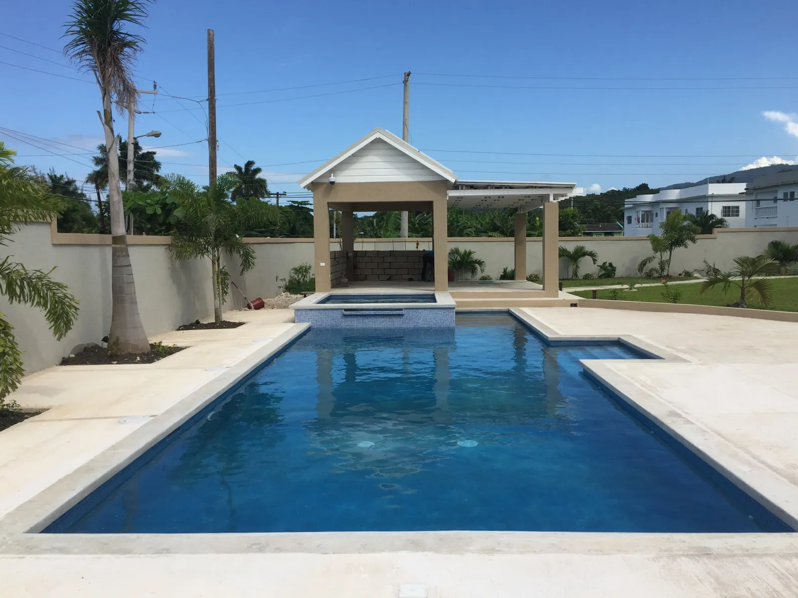 corner residence with grid windows and rooftop solar, tall palms and colorful entry planting.