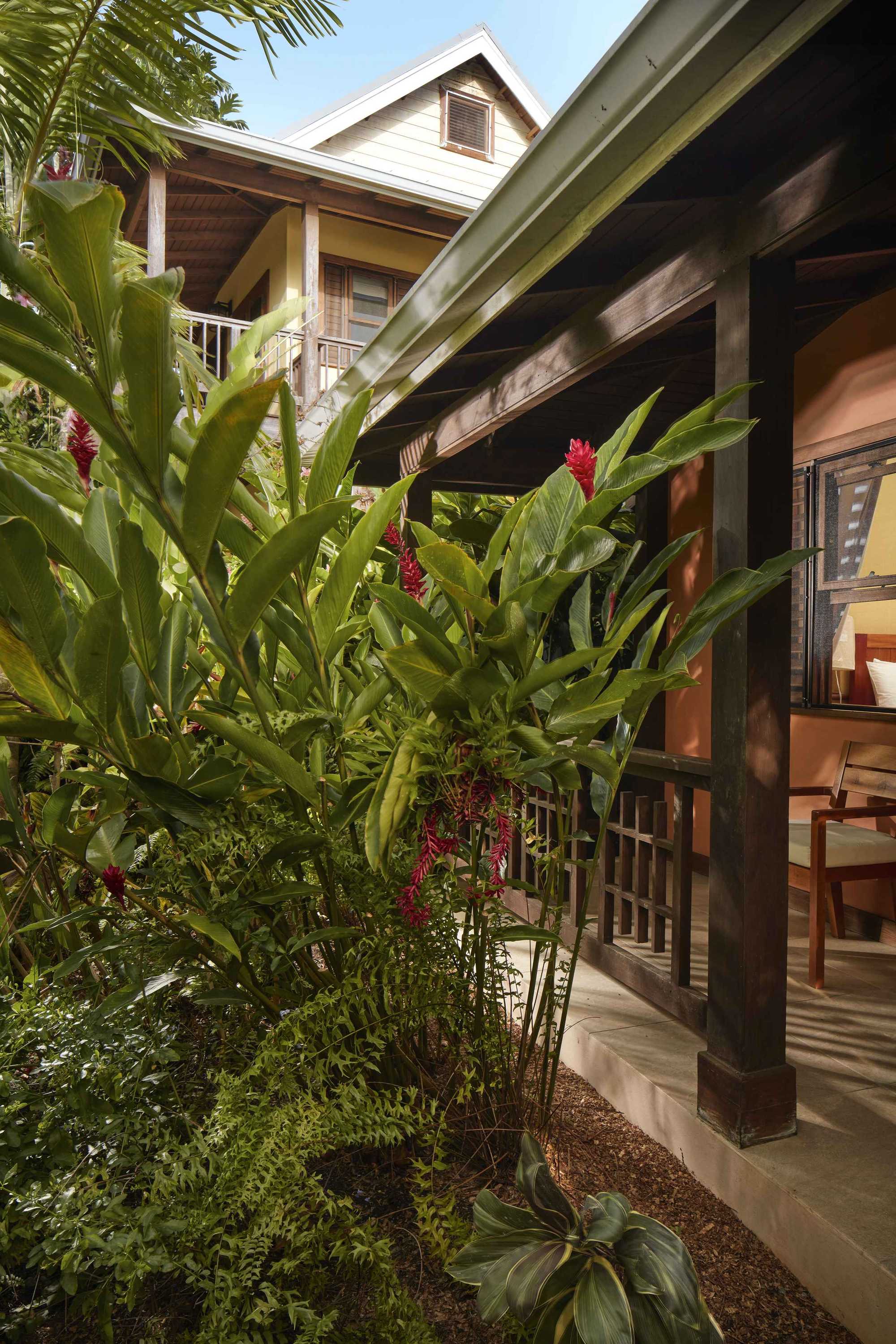 Close-up of lush tropical plants, including broad green leaves and red ginger blossoms, next to a covered wooden porch of a cottage.