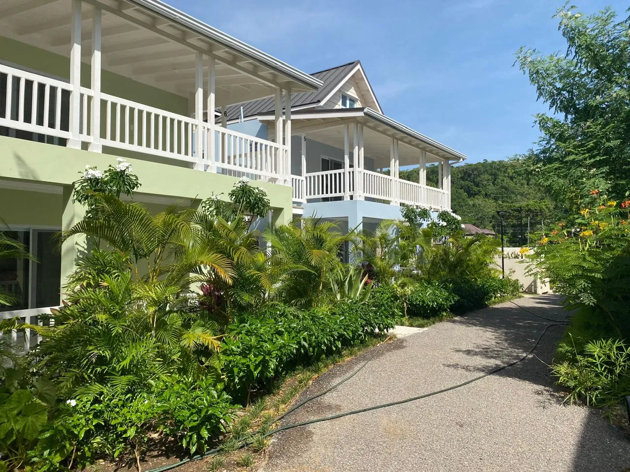 row of pastel townhouses with wraparound first-floor verandahs, walkway and lush planting in foreground.