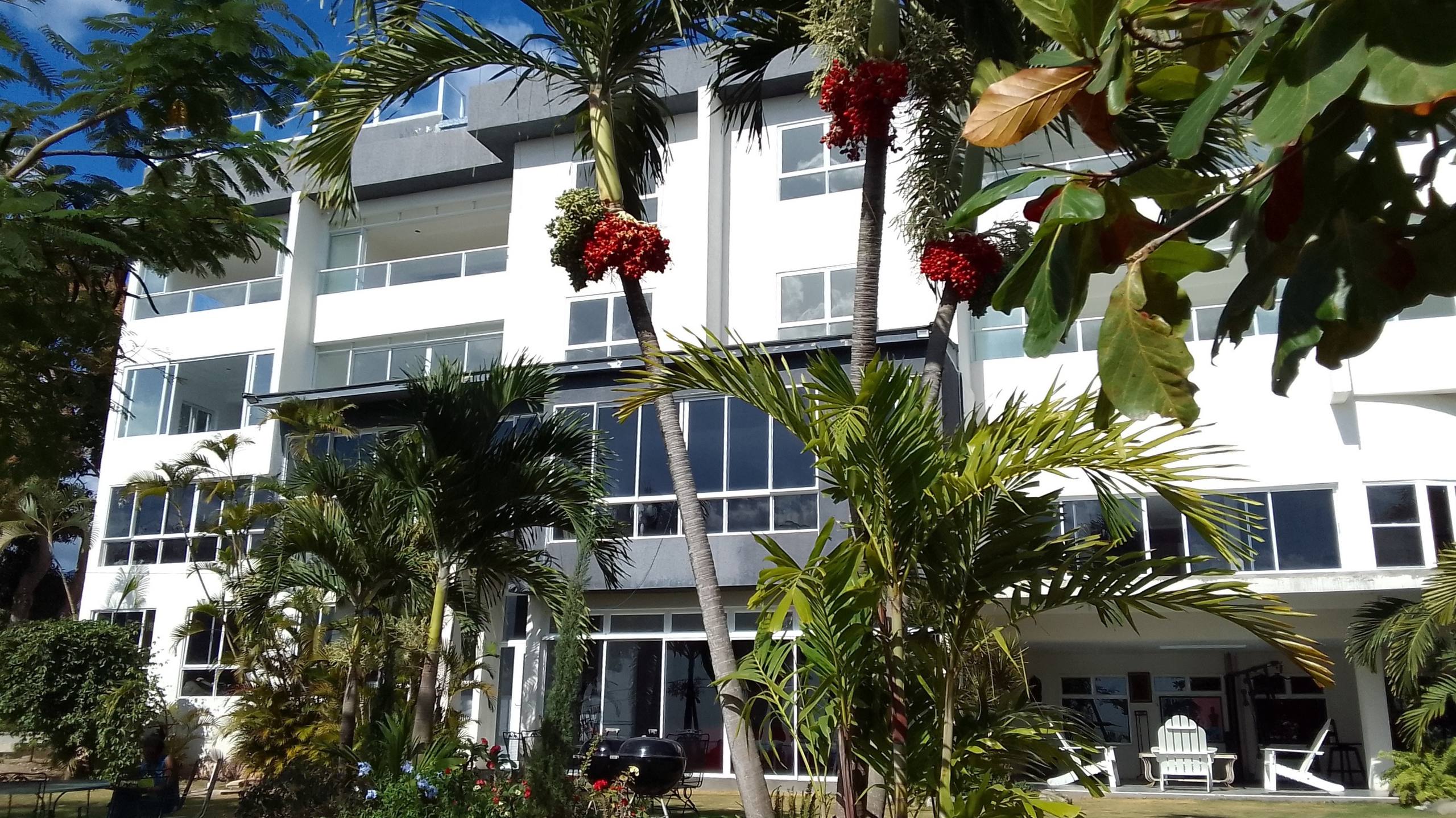 Exterior view of a modern, multi-story apartment building with a white and gray facade, large glass windows, and balconies, partially framed by tropical palm trees and green foliage in the foreground.
