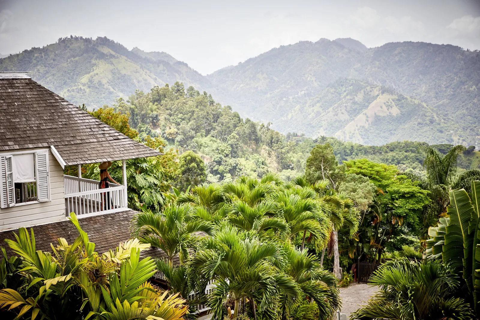 hillside cottages and palms stepping down to forested Blue Mountains, soft haze over ridges.