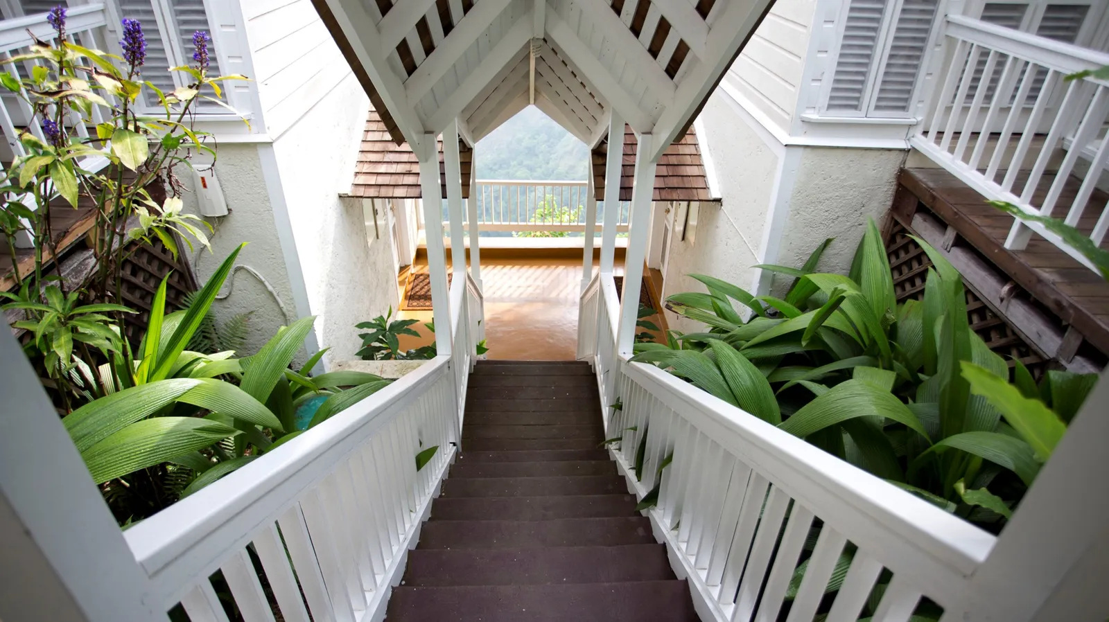 covered stair and gabled walkway between cottages, white balustrades and lush planting leading to a view terrace.